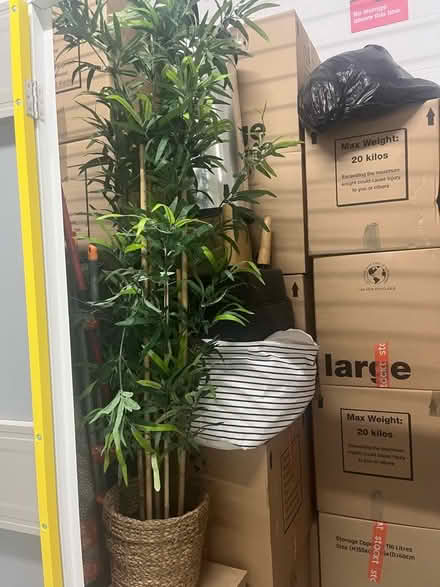 Photo of free number of items (Agar Grove N7) #1