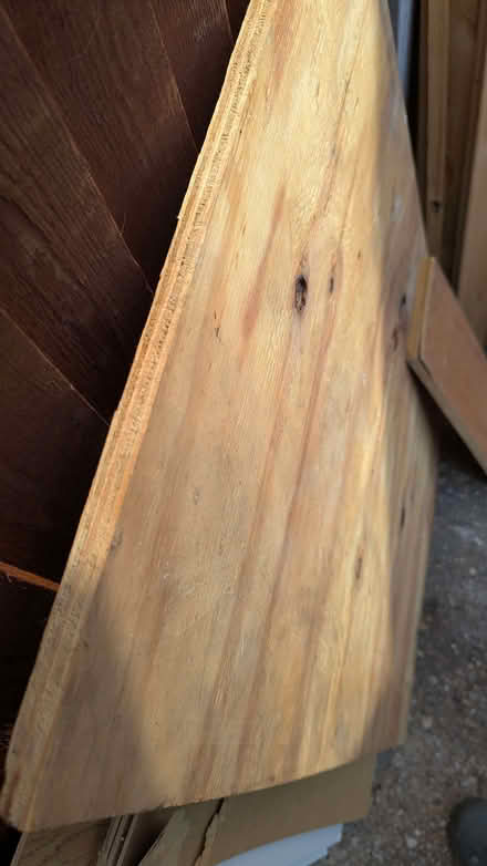 Photo of free Wood (West Minster ME12) #2
