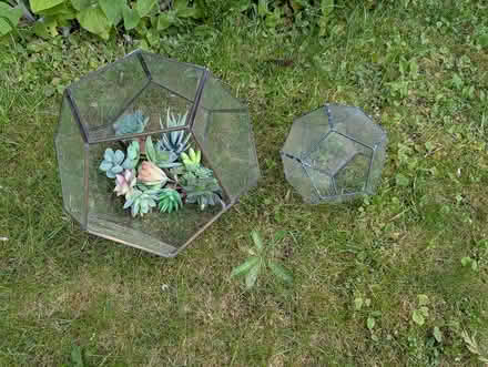 Photo of free Plantarium (TN4) #1