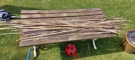 Photo of free Garden canes (B63 halesowen) #1