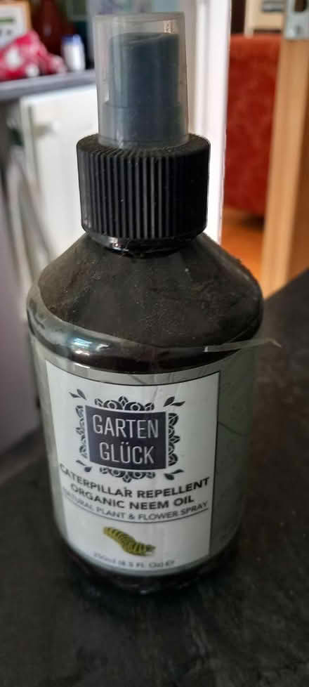 Photo of free Box caterpillar repellent Histon (Histon) #1