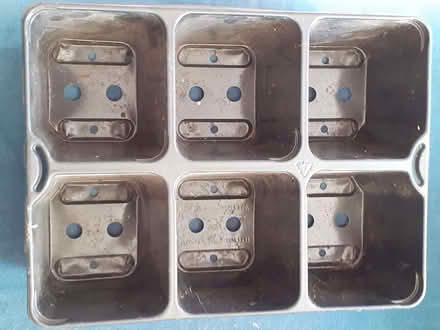 Photo of free Seed tray (Bolton le Sands LA5) #1