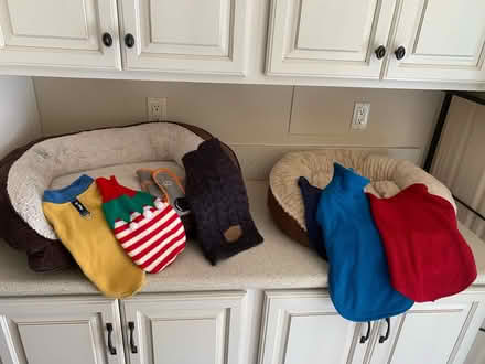Photo of free Dog beds and jackets (Near Hwy 4 and Alhambra Avenue) #1