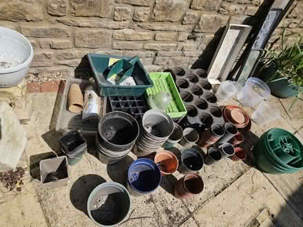 Photo of free Greenhouse flower pots and trays (Brimscombe) #1