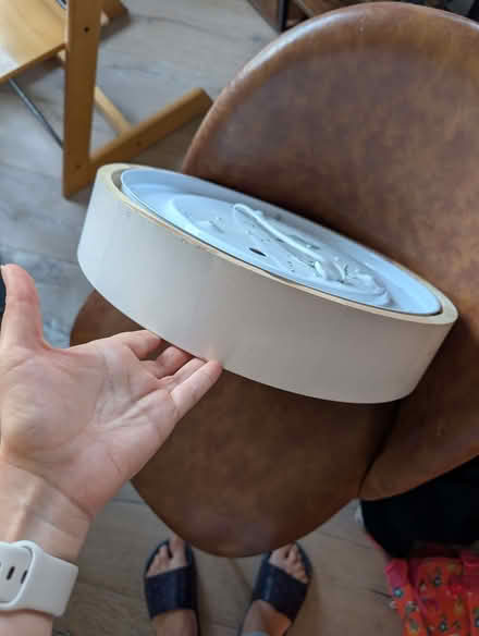 Photo of free Ceiling Lamp (Herne Hill SE24) #2