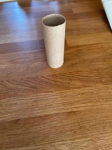 Photo of free toilet roll holdeer (Guildford GU1) #1