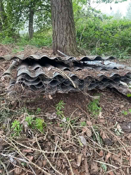 Photo of free Metal Corrugated roofing sheets (Linton HR9) #2