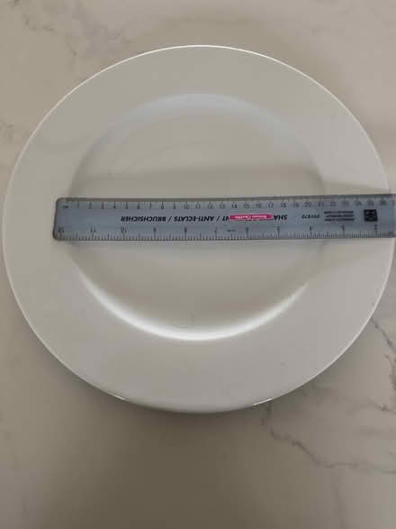 Photo of free Dinner plates 32cm (Radnage HP14) #1