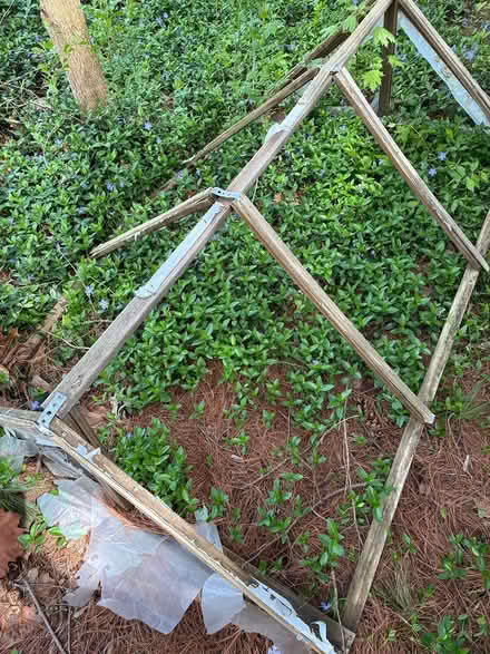 Photo of free cool frames garden (East Ann Arbor) #1