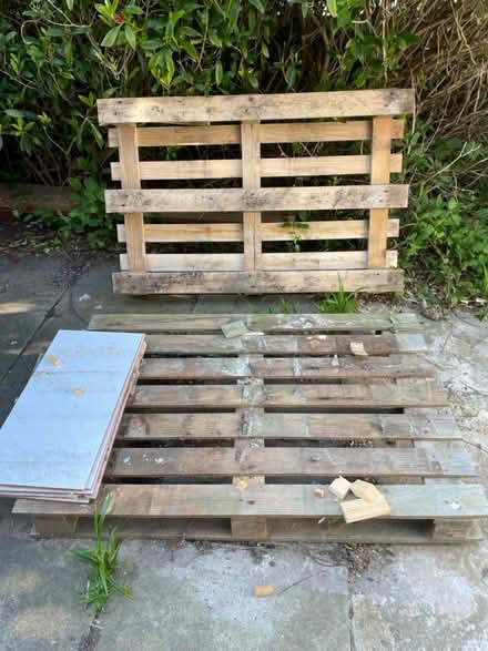 Photo of free 5 big white tiles (Didsbury M20) #1