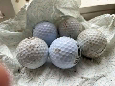 Photo of free Golf balls (Strefford SY7) #1