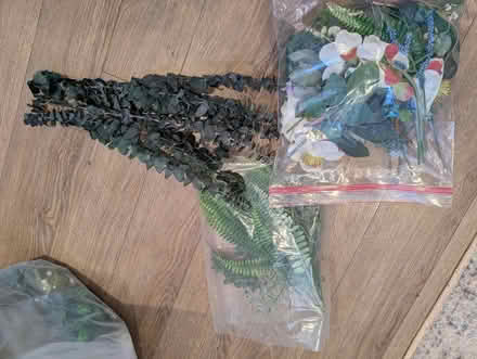 Photo of free Faux filler for wreaths (Lakeview, close to Bayshore) #2