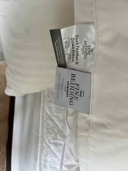 Photo of free Pillow (Oxford OX1) #1