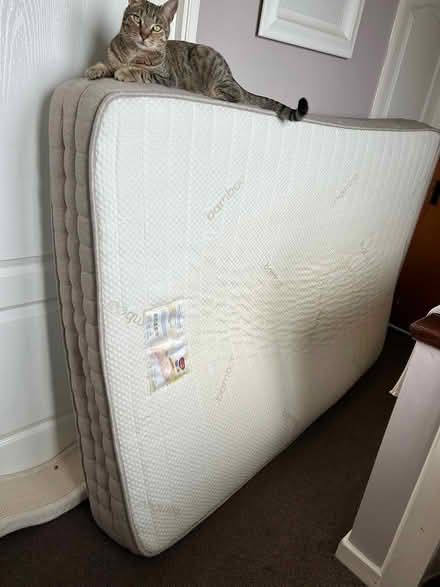Photo of free Mattress (Tallaght) #1
