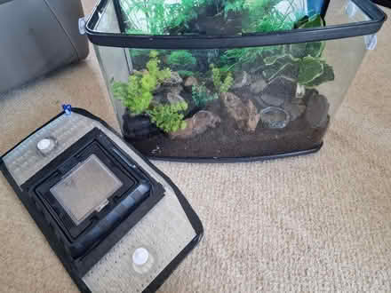 Photo of free Tank used for invertebrates (Lincoln LN2) #3