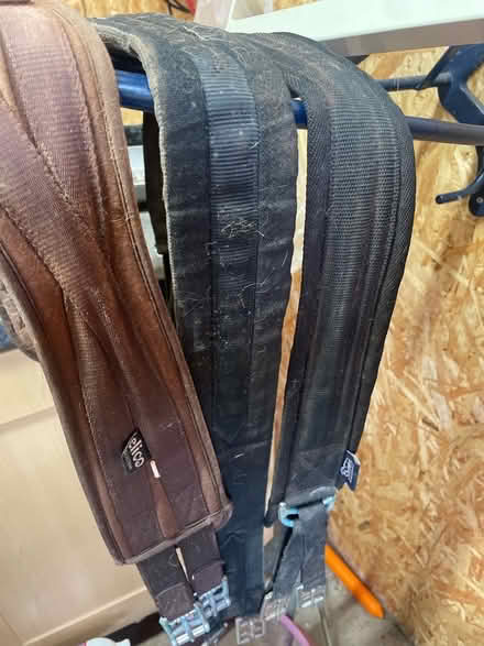 Photo of free Pony kit (Linton HR9) #2