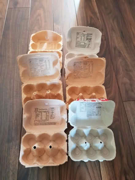 Photo of free Empty Egg Boxes (North Abingdon, OX14) #2