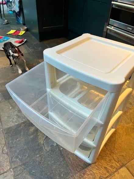 Photo of free Plastic drawer unit (South Woodford E18) #1