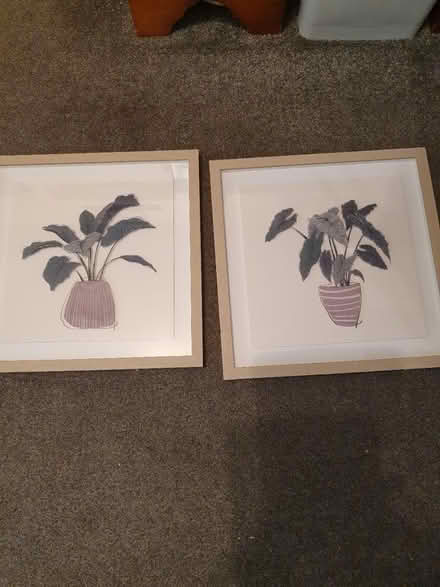 Photo of free Puctures (Stewkley) #1