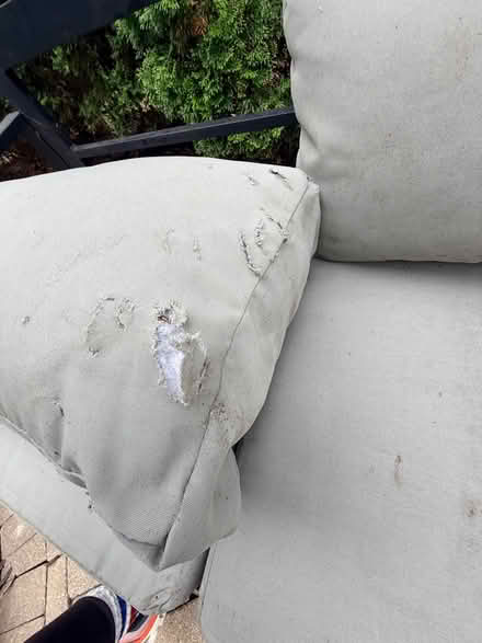 Photo of free Metal frame outdoor sofa - no rust (hinsdale) #4