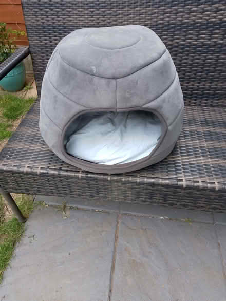 Photo of free Pet basket (Waltham Abbey EN8) #1
