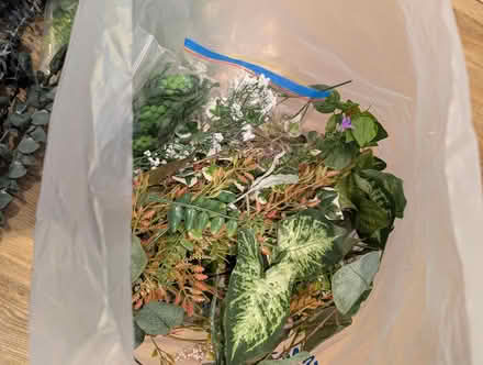 Photo of free Faux filler for wreaths (Lakeview, close to Bayshore) #1