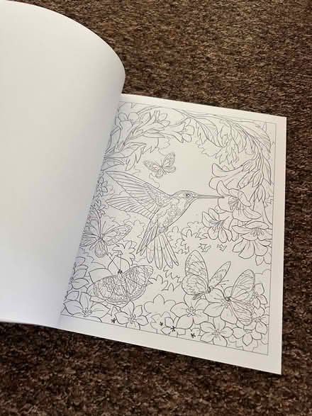 Photo of free Colour by Numbers book (Skerton LA1) #2