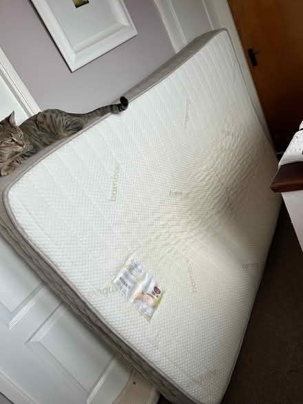 Photo of free Mattress (Tallaght) #2