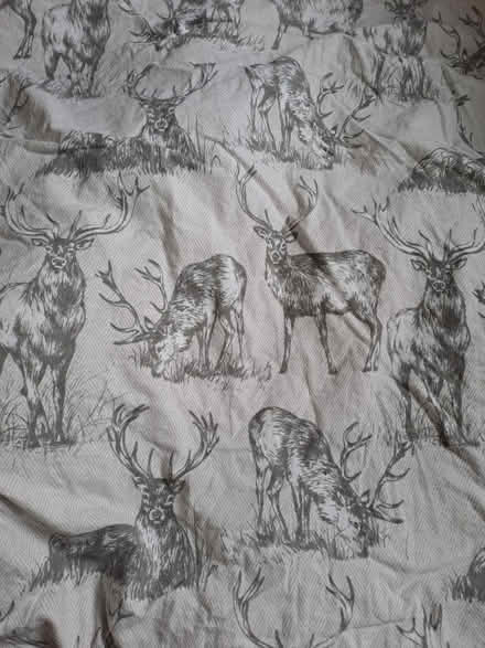 Photo of free King size duvet and cover (Cambridge CB4) #1