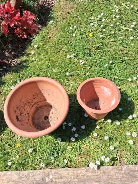 Photo of free Terracotta pots (Roffey, Horsham) #1