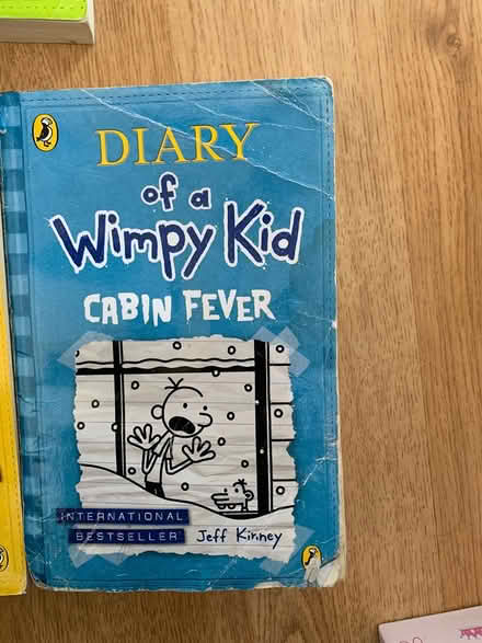 Photo of free Diary of a wimpy kid set (London N21) #3