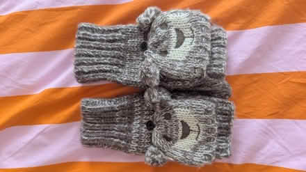 Photo of free Bear Gloves (CR0) #1