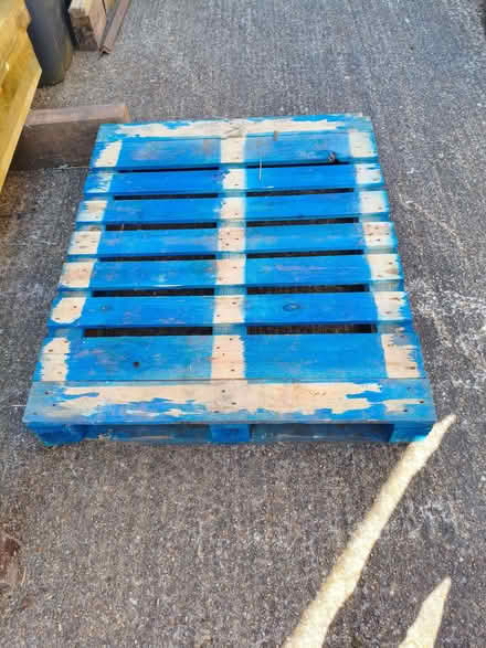 Photo of free Pallet (Haywards Heath RH16) #1