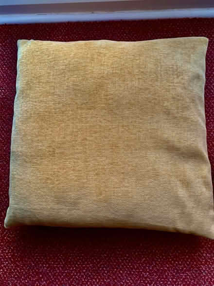Photo of free 4 Chenille cushions (Basingstoke RG22 Hatch Warren) #1