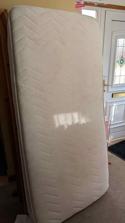 Photo of free Kids single bed (Greenstead CO4) #1