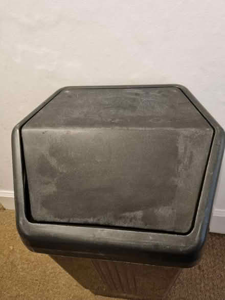 Photo of free 50ltr plastic bin (West End/Haymarket EH11) #2