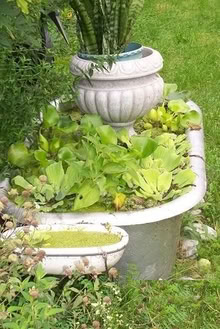 Photo of free Cast iron bathtub for garden pond (Wappingers) #1