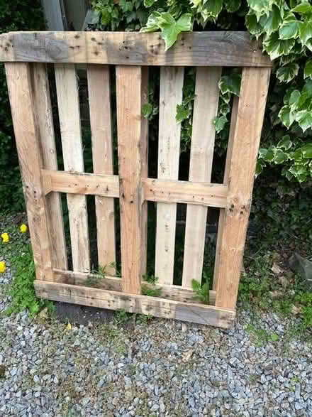 Photo of free Wooden pallet (Strefford SY7) #1