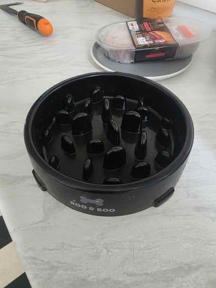 Photo of free Slow dog feeder bowl (Shrewsbury) #1
