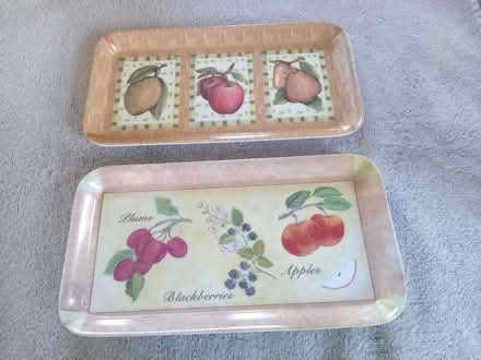 Photo of free Small trays (Millerston, G33) #1
