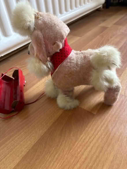 Photo of free 1960s barking elegant poodle toy (Ashford, Surrey TW15) #3