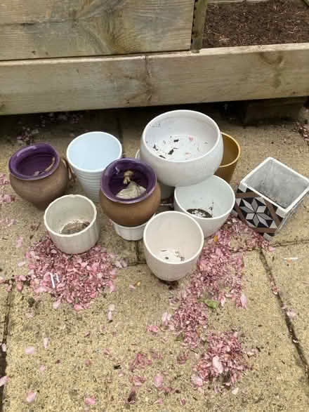 Photo of free 10 smallish house plant pots (BN43) #1