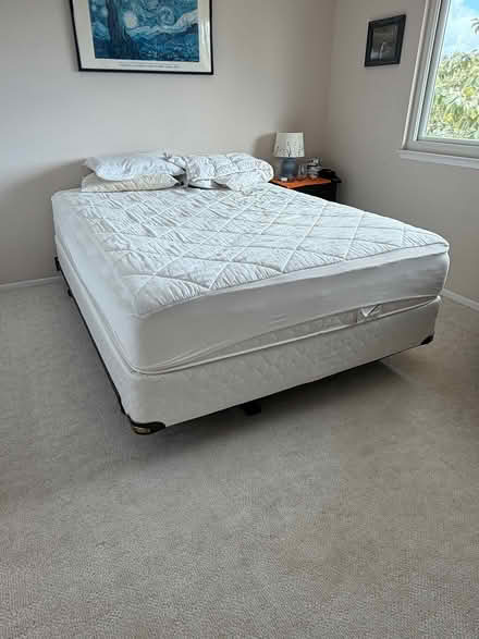 Photo of free Matress, box springs, and frame (Tierrasanta) #1