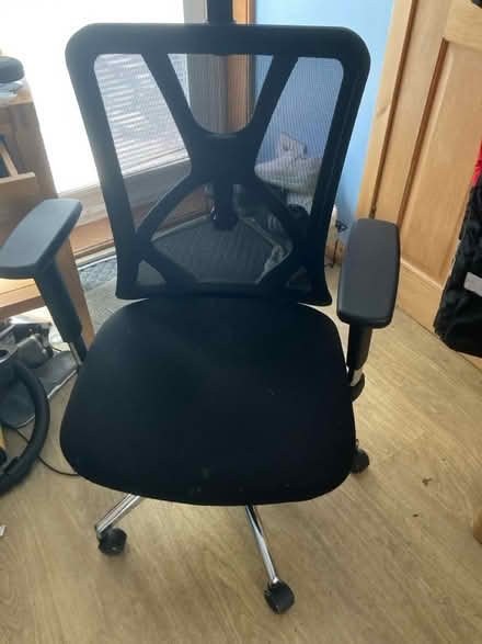 Photo of free Computer chair (Erskine PA8) #2