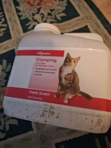 Photo of free cat litter 20874 #1