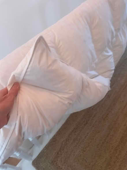 Photo of free Queen feather winter duvet 13.5 Tog (Haringey, near St Ann's, N15) #2