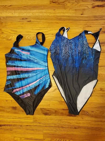 Photo of free Unused bathing suits, size L (Novi, 10mile + Meadowbrook) #1