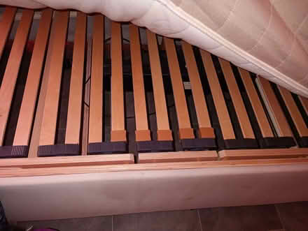 Photo of free Electric bed (Harborne B32) #1