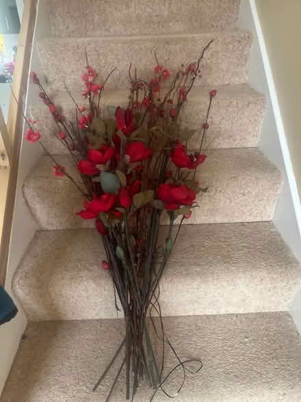 Photo of free Red fliwers (Penrith CA11) #1