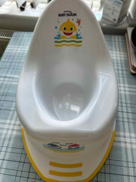 Photo of free Potty (Chorley PR6) #1